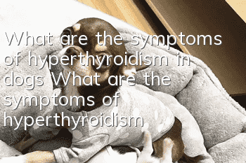 What are the symptoms of hyperthyroidism in dogs? What are the symptoms of hyperthyroidism in dogs?