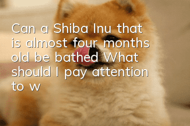 Can a Shiba Inu that is almost four months old be bathed? What should I pay attention to when taking a bath?