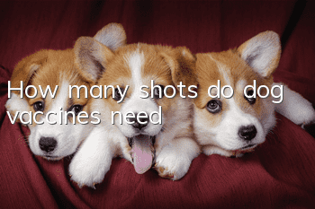 How many shots do dog vaccines need?