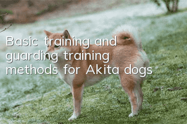 Basic training and guarding training methods for Akita dogs