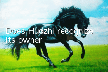 Does Huazhi recognize its owner?