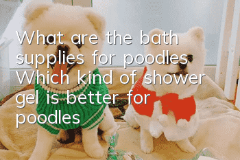 What are the bath supplies for poodles? Which kind of shower gel is better for poodles?