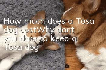 How much does a Tosa dog cost_Why don’t you dare to keep a Tosa dog?