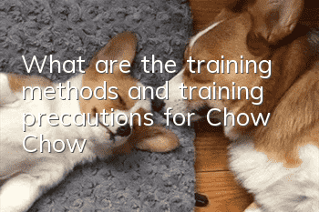 What are the training methods and training precautions for Chow Chow?