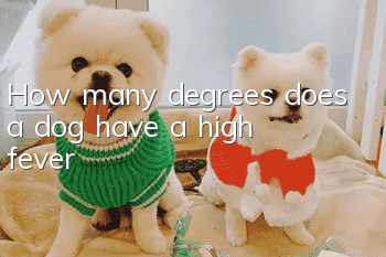 How many degrees does a dog have a high fever?