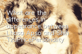 What are the differences in appearance between Lhasa Apso and Shih Tzu_Price_Personality