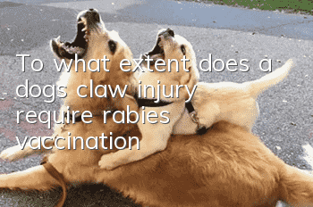 To what extent does a dog's claw injury require rabies vaccination?
