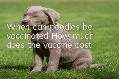 When can poodles be vaccinated? How much does the vaccine cost?