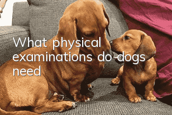 What physical examinations do dogs need?