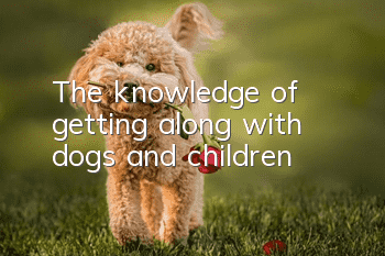 The knowledge of getting along with dogs and children