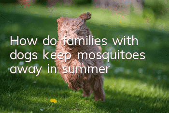 How do families with dogs keep mosquitoes away in summer?