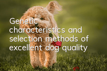 Genetic characteristics and selection methods of excellent dog quality