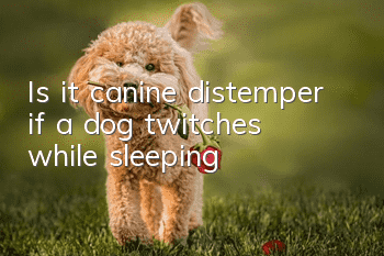 Is it canine distemper if a dog twitches while sleeping?