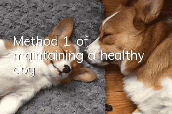 Method 1 of maintaining a healthy dog