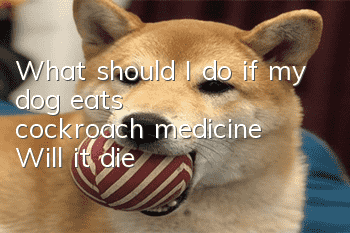 What should I do if my dog eats cockroach medicine? Will it die?