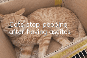 Cats stop pooping after having ascites