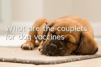 What are the couplets for dog vaccines?