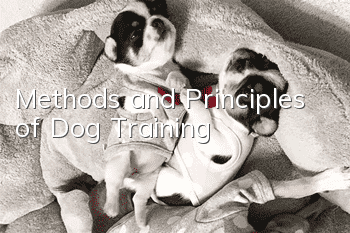Methods and Principles of Dog Training