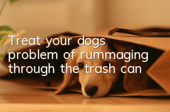 Treat your dog’s problem of rummaging through the trash can