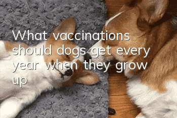 What vaccinations should dogs get every year when they grow up?