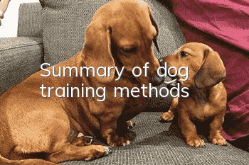 Summary of dog training methods