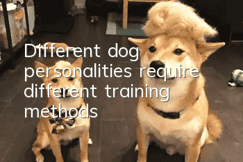 Different dog personalities require different training methods