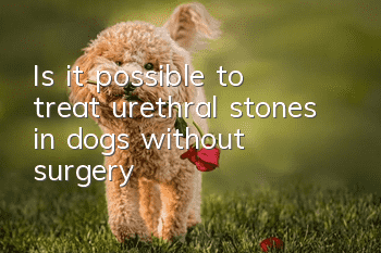 Is it possible to treat urethral stones in dogs without surgery?