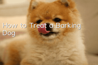 How to Treat a Barking Dog