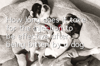 How long does it take for the injection to be effective after being bitten by a dog?