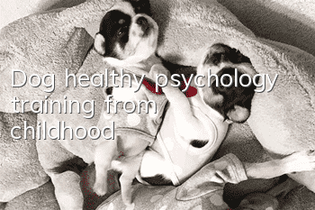 Dog healthy psychology training from childhood