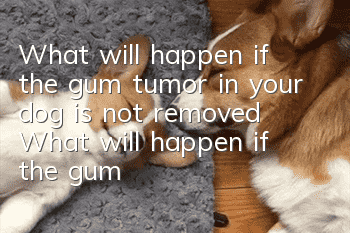 What will happen if the gum tumor in your dog is not removed? What will happen if the gum tumor in your dog is not removed?