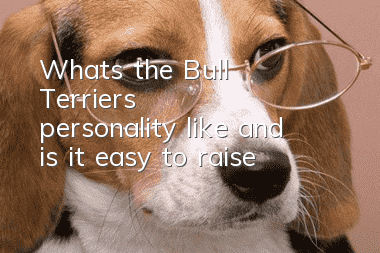 What's the Bull Terrier's personality like, and is it easy to raise?