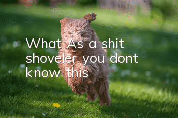 What? As a shit shoveler, you don’t know this!