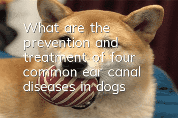 What are the prevention and treatment of four common ear canal diseases in dogs?