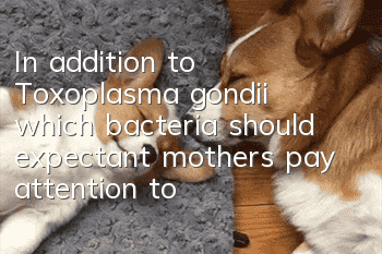 In addition to Toxoplasma gondii, which bacteria should expectant mothers pay attention to during pre-pregnancy check-ups?