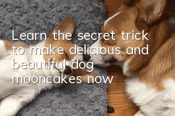 Learn the secret trick to make delicious and beautiful dog mooncakes now