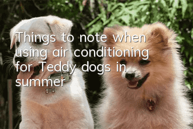 Things to note when using air conditioning for Teddy dogs in summer