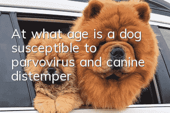 At what age is a dog susceptible to parvovirus and canine distemper?