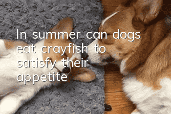 In summer, can dogs eat crayfish to satisfy their appetite?