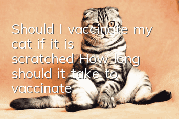 Should I vaccinate my cat if it is scratched? How long should it take to vaccinate?