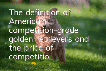 The definition of American competition-grade golden retrievers and the price of competition-grade golden retrievers