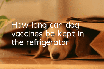 How long can dog vaccines be kept in the refrigerator?