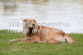 Will dog coronavirus recover on its own?