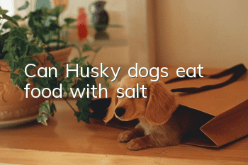 Can Husky dogs eat food with salt?
