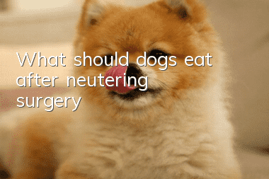 What should dogs eat after neutering surgery?