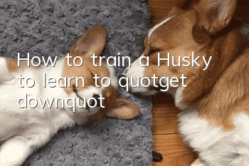 How to train a Husky to learn to "get down"?