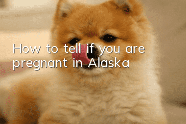 How to tell if you are pregnant in Alaska
