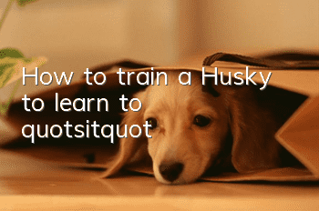 How to train a Husky to learn to "sit"?