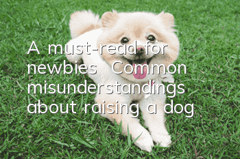 A must-read for newbies | Common misunderstandings about raising a dog