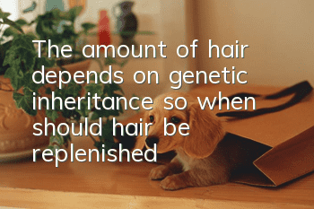 The amount of hair depends on genetic inheritance, so when should hair be replenished?